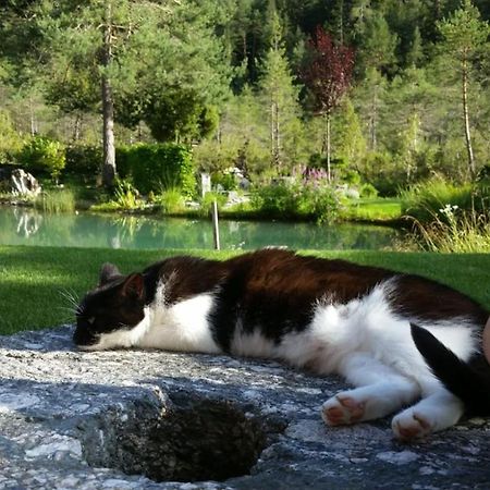Ferienwohnung Bettina Berg im Drautal Εξωτερικό φωτογραφία
